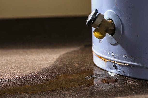 Best Basement water damage restoration  in Silverton, OR
