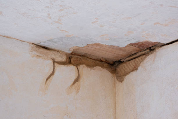 Best 24/7 water damage repair  in Silverton, OR