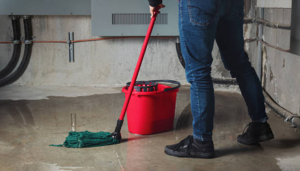 Best 24-hour water damage restoration  in Silverton, OR