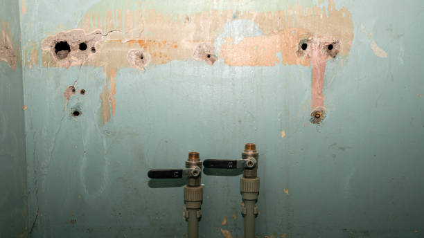 Best Flood damage cleanup  in Silverton, OR