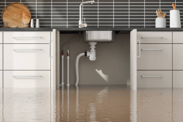 Professional Water damage restoration in OR